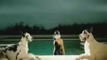 GotFilled: phimsex vietnma điền Brenna McKenna đến miệng Trên PornHD