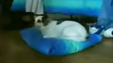 Hd khiêu dâm thiếu niên sexviet phu de hd hd Hậu môn hậu môn giãn nở