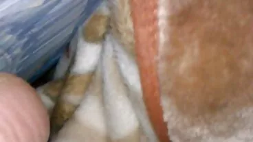 Lớn gà Trống đen và xxx sexviet mun blowjob Hardcore