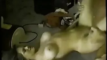 Cô gái sexvietsubtv tóc vàng blowjob handjob mát-xa thiếu niên