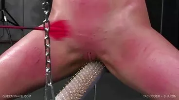 Hd khiêu dâm sexviet sub ko che lớn tits HD BLOWJOB HD VÀNG hd MILF hd CẠO