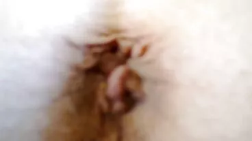 BangBors: Gianna MotherFucking GRE anh sexviet